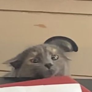 Meet your Posher, Zahra